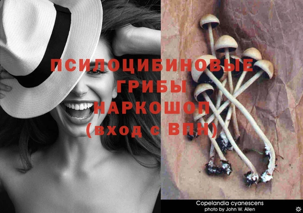 дистиллят марихуана Покровск